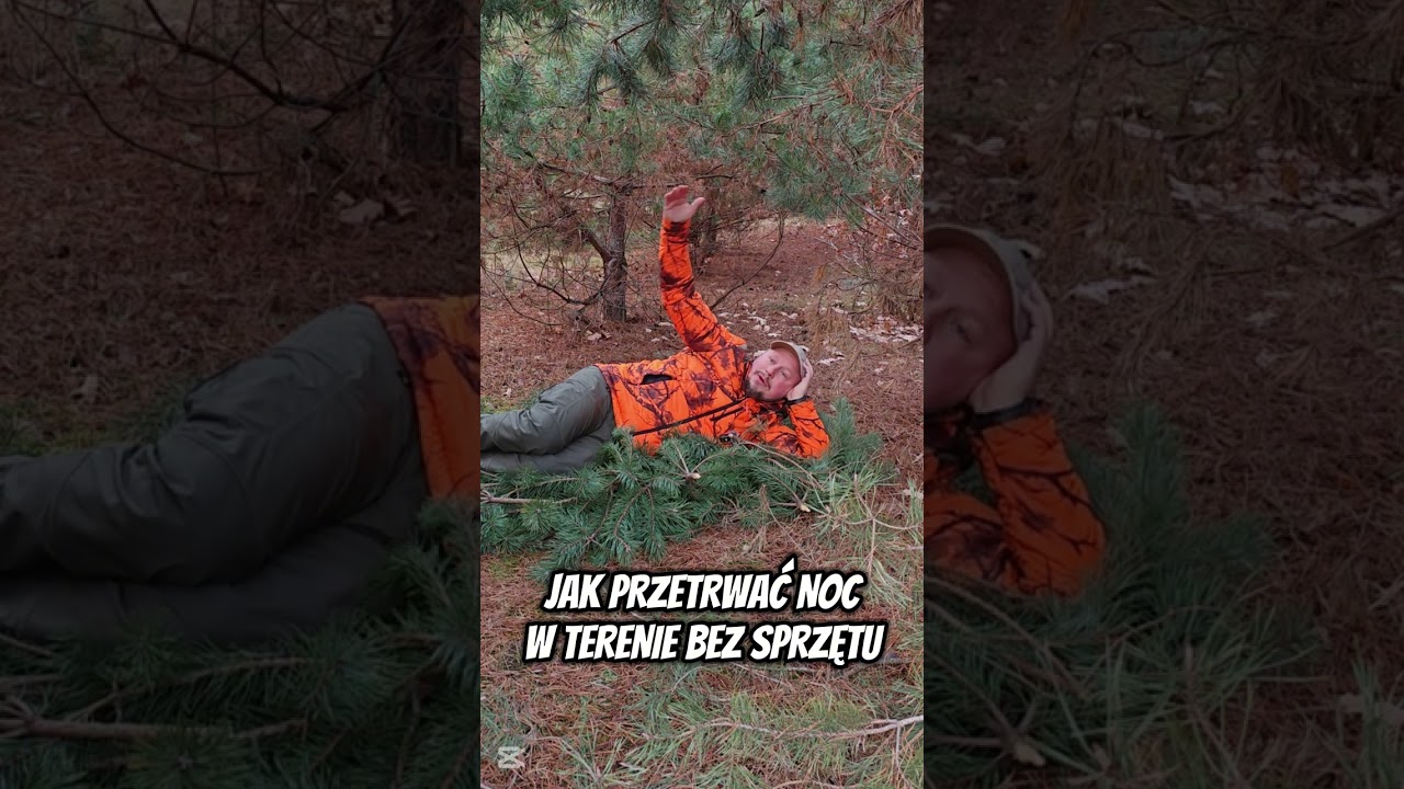 Proste Triki na Przetrwanie Nocy w Lesie Bez Ekwipunku!
