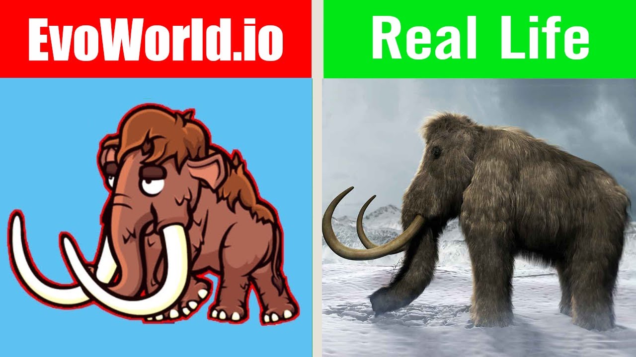 EvoWorld.io Vs Real Life (FlyOrDie.io)