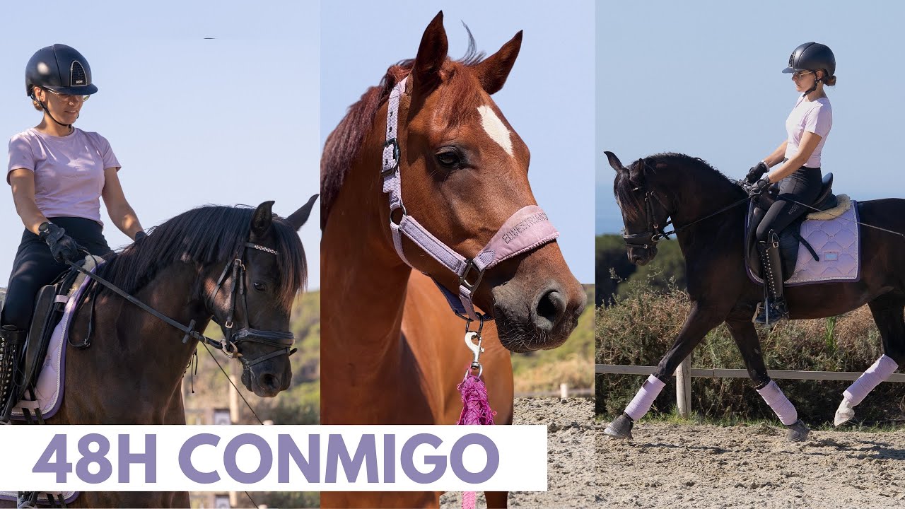 Primera aventura ⚔️con Kasper👻+Thunder⚡️ + clínic con Missy Fu 🦋y Lucia Gallardo, menudos ponis 🥹