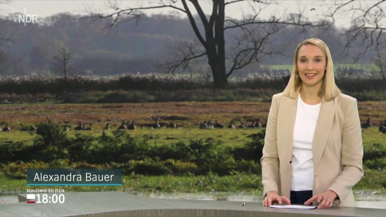 NDR Schleswig-Holstein 18:00 Intro