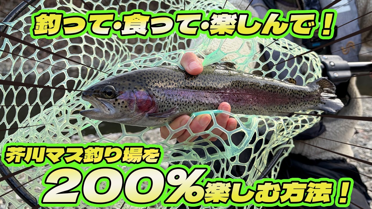 【エリアトラウト】釣って！食って！楽しんで！芥川マス釣り場を楽しむ秘訣を徹底伝授！