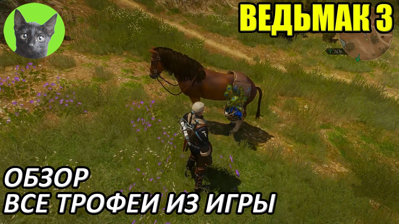Ведьмак 3 - Обзор - Все трофеи из игры Ведьмак 3