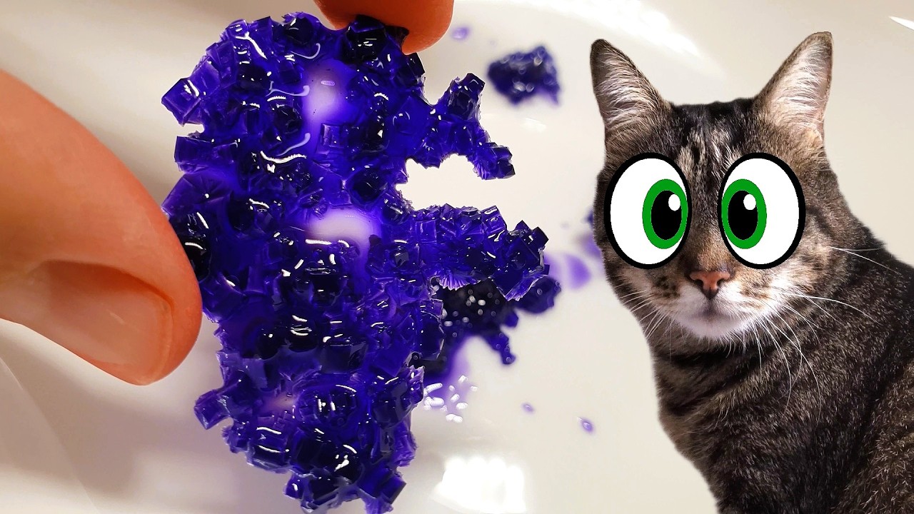КОТ и Черепаха устроили КРИСТАЛЬНЫЙ БУМ! Like Pets - Саймон и Бакс