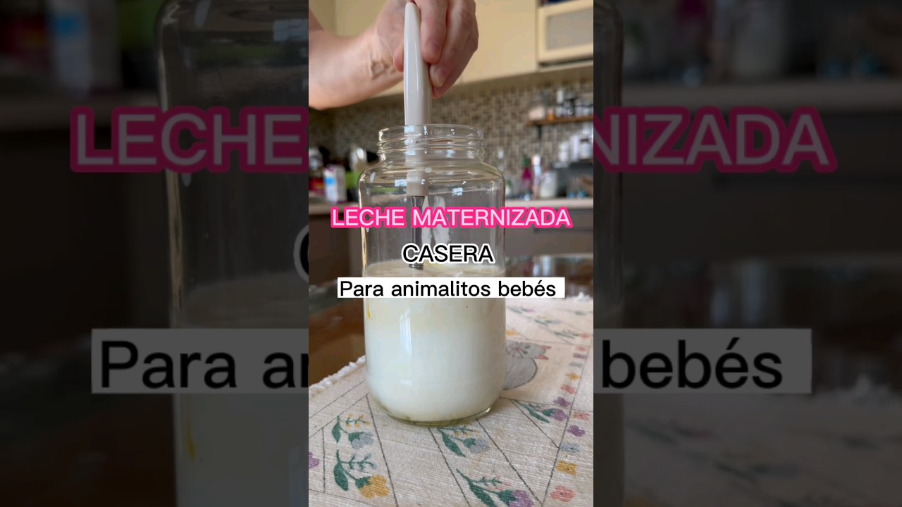 LECHE CASERA para GATITOS y PERRITOS #shorts #cachorros  #gatitos #perritos #ardillas