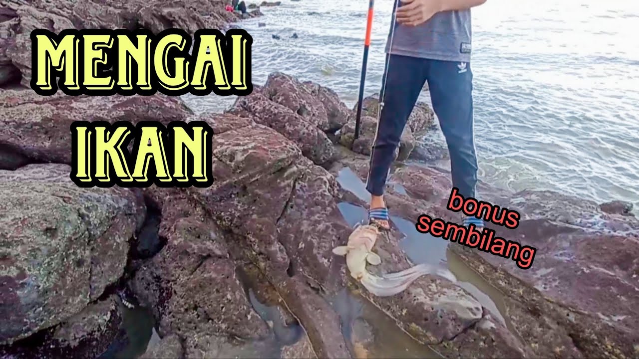#EP785 Macam-macam Ikan ada - mancing tepi laut di spot berbatu