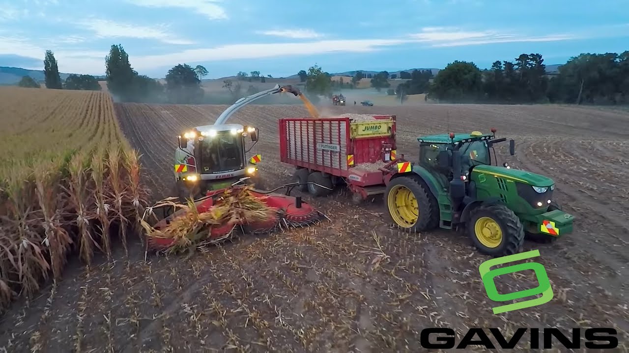 GAVINS Ltd. New Zealand 2018/2019 Season