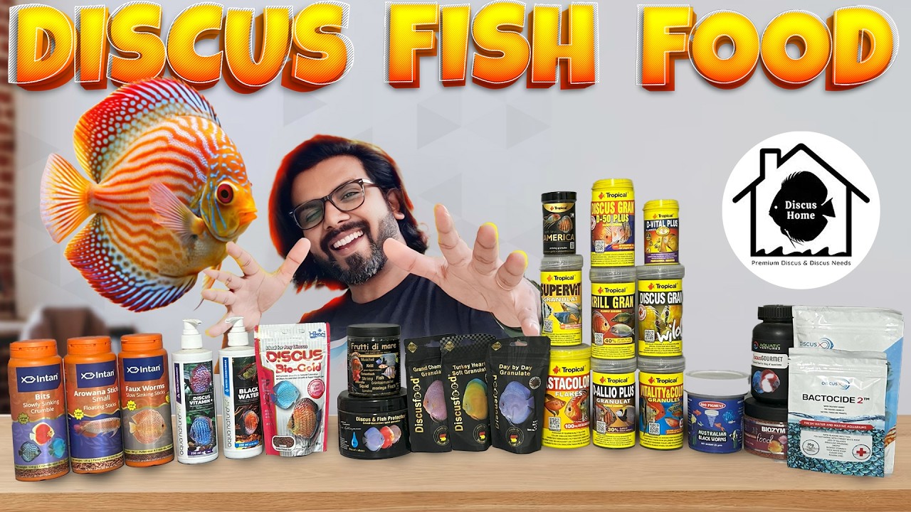 Discus Fish Food Pellets 🐠 | Hikari, Tropical, Discus X & Australian Black Worms