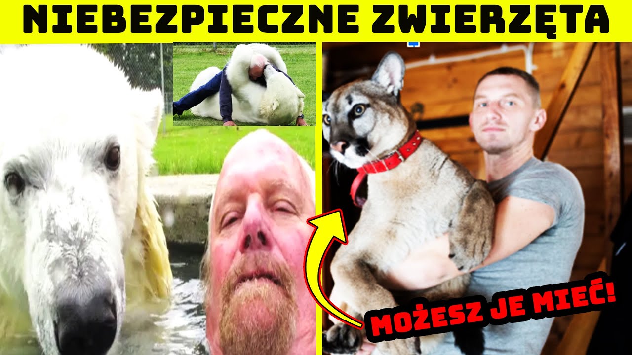 4 Ni4bezpieczne Zwierzęta, Które ludzie Hodują w Domach