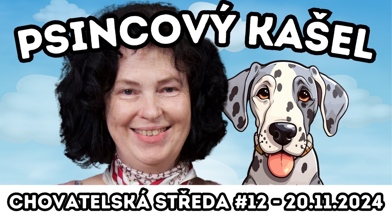 👩‍⚕️Psincový kašel👩‍⚕️| Chovatelská středa #12