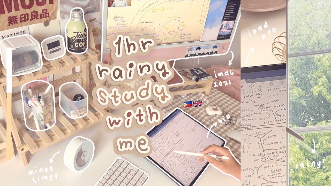 1hr real time study with me while it's raining 🌧 lofi music, rain bg, ipad notetaking, alevel bio