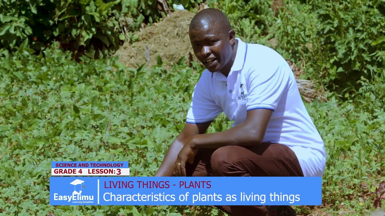 What makes plants living things? | Characteristics of plants as living things | Grade 4 Science