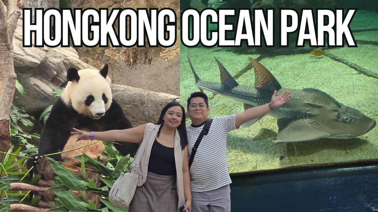 Hongkong Ocean Park Adventure - Cute ng Panda + Dim Dim Sum Food trip #hongkongoceanpark