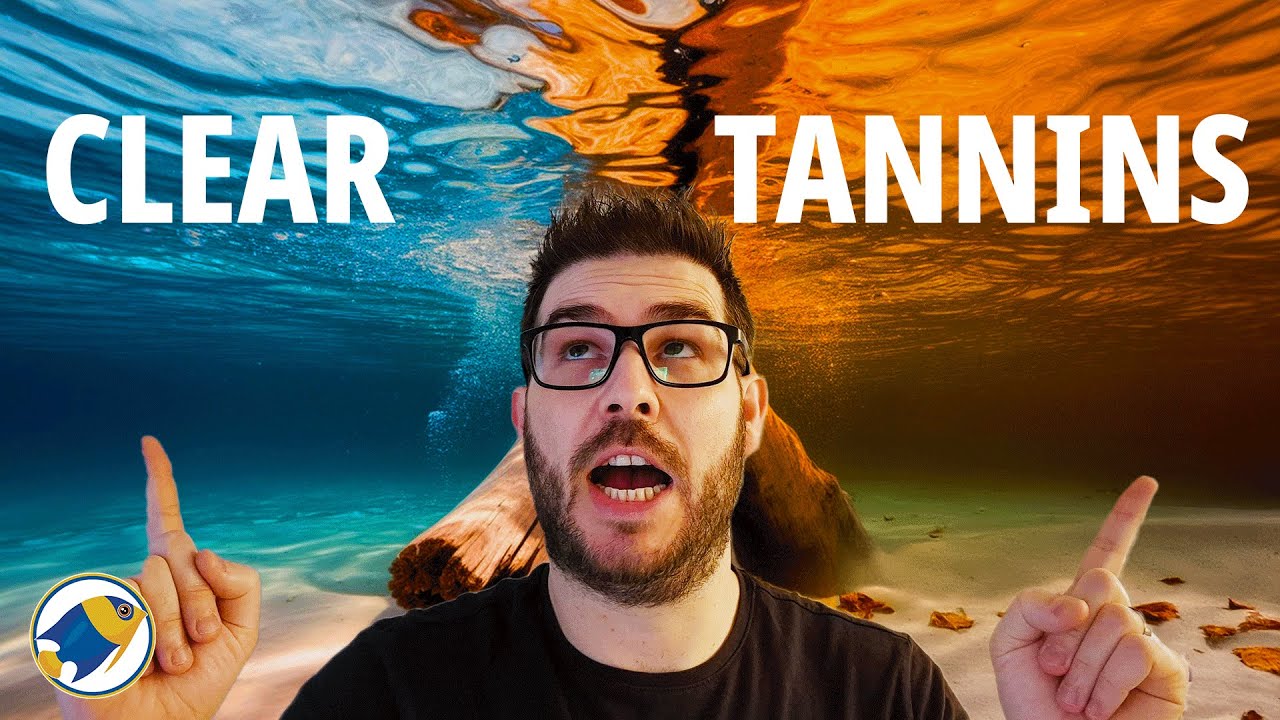 The Hidden Benefits of Tannins in Your Aquarium (All The Facts)