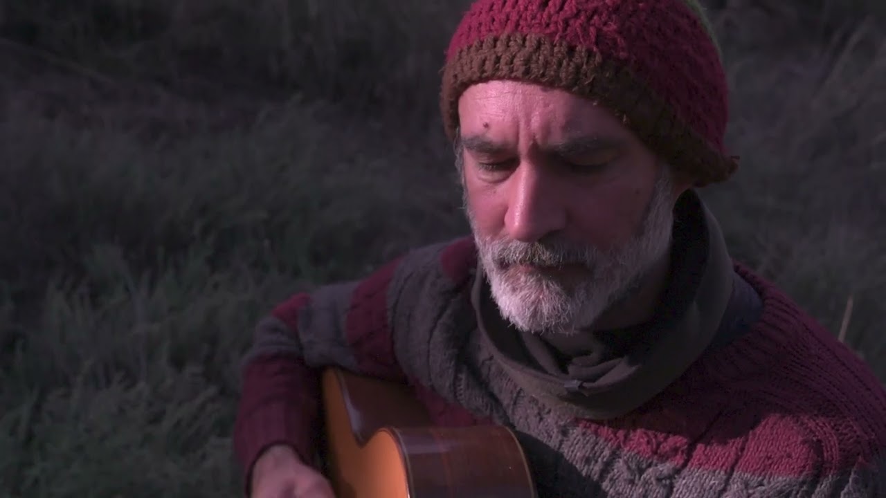 Aullidos entre olivos. Pablo Perejil