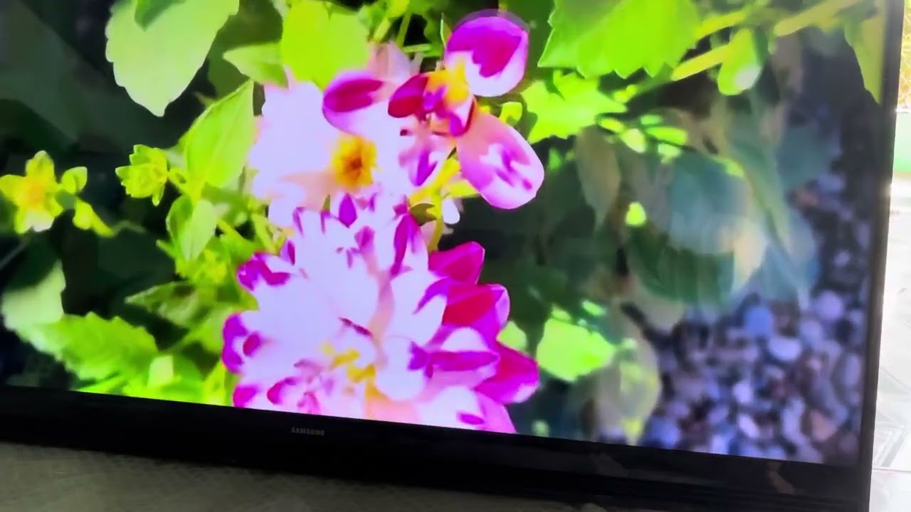 Тестирование 43-дюймового телевизора Samsung, замена экрана на новый перед доставкой клиенту