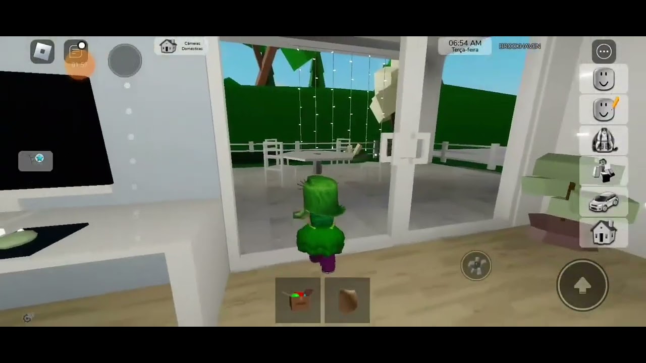 Asaltando casas no brooknheven