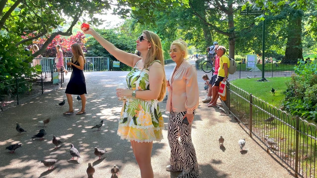 Summer in St James’s Park 🦢 London Royal Park Walk with Pelicans [4K HDR]