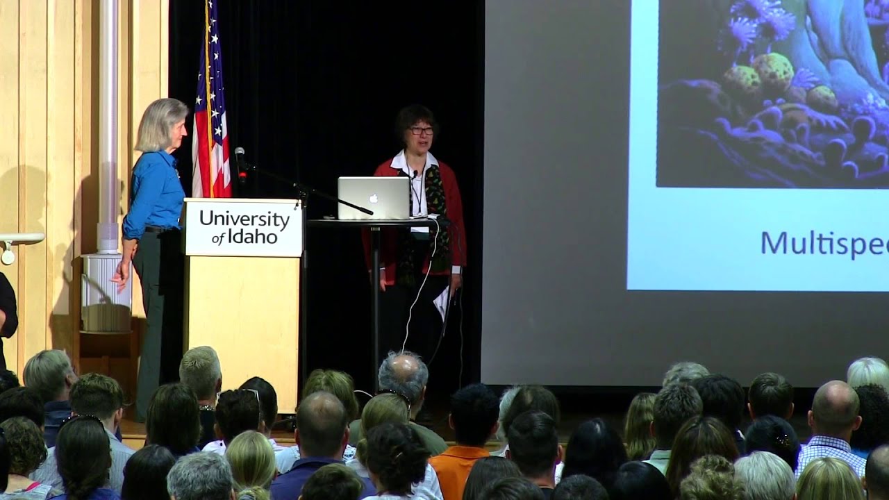Anna Tsing & Donna Haraway: 
