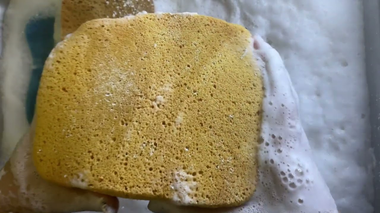 🧼Sponge Squeezes 🧼