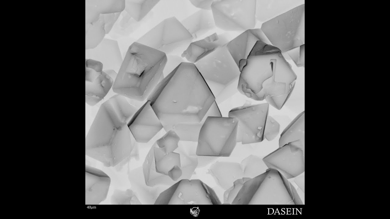 DASEIN