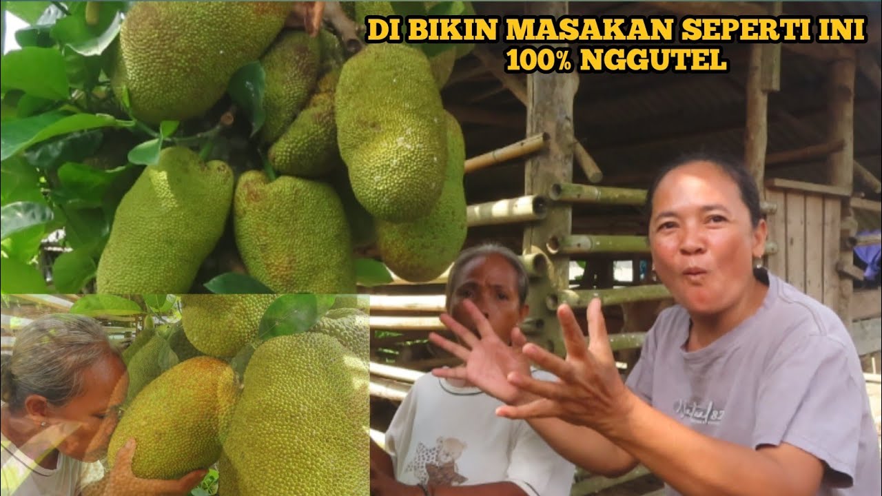 SAMA YANG PUNYA DI BUANG TERUS❗ TERNYATA BELUM TAU CARA MASAKNYA