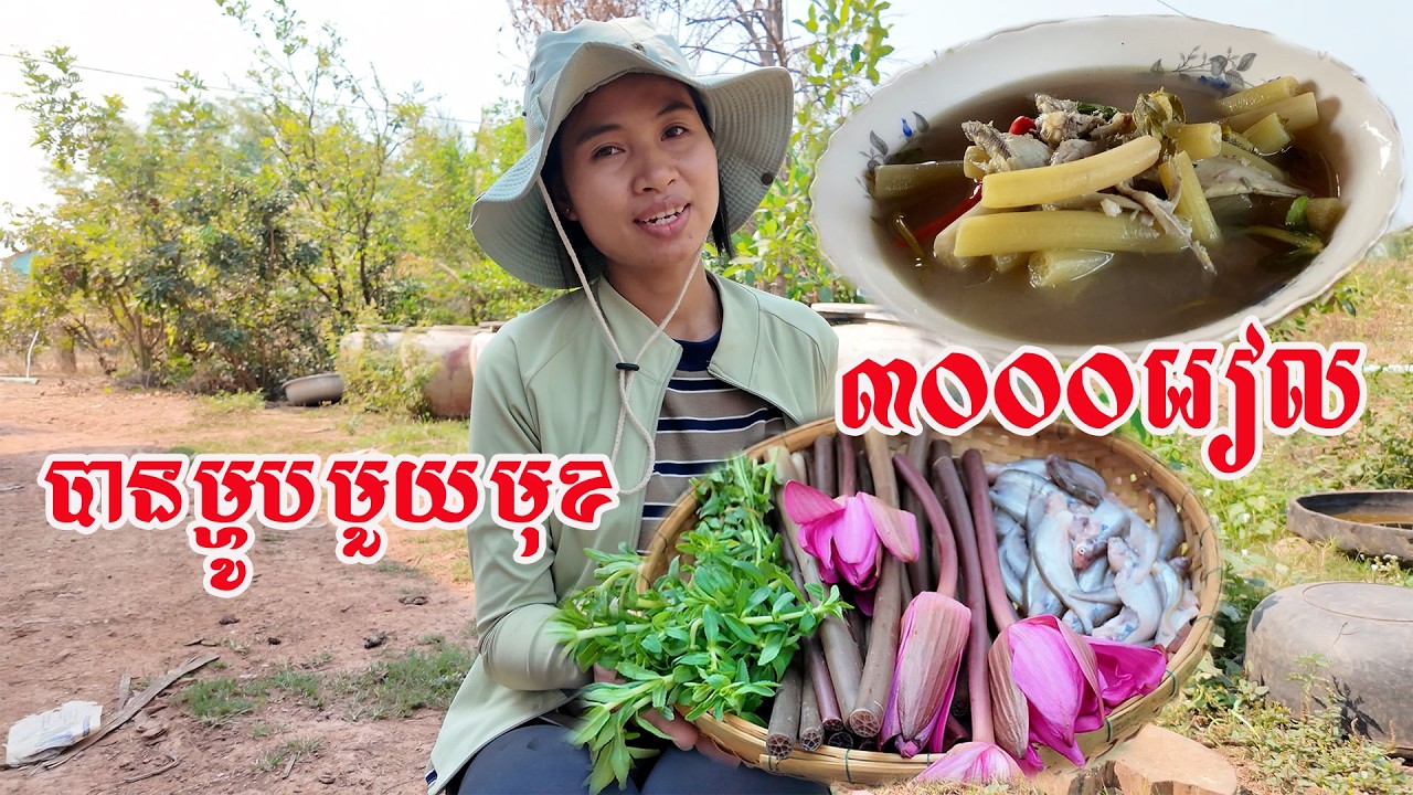 អស់តែ៣០០០រៀលបានម្ហូបស្រុកស្រែឈ្ងុយឆ្ងាញ់មួយមុខ​ samlor machou prolit