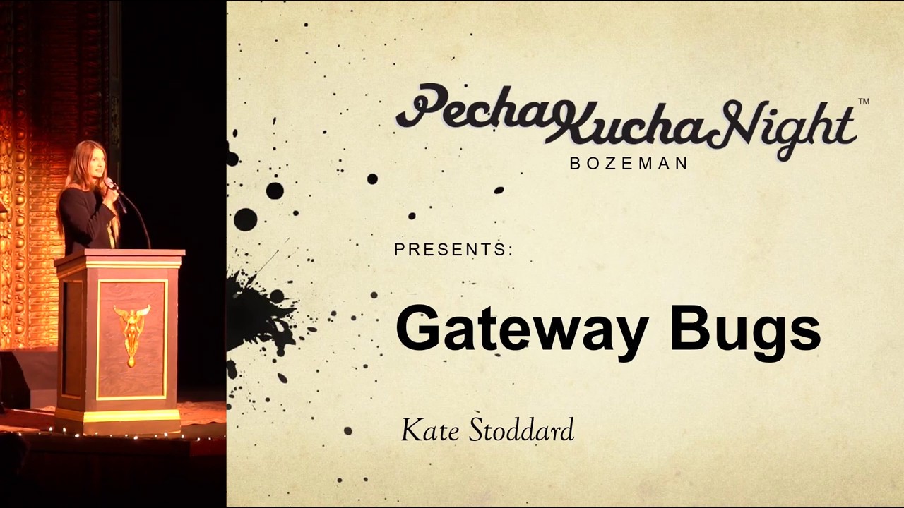 Kate Stoddard - Gateway Bugs