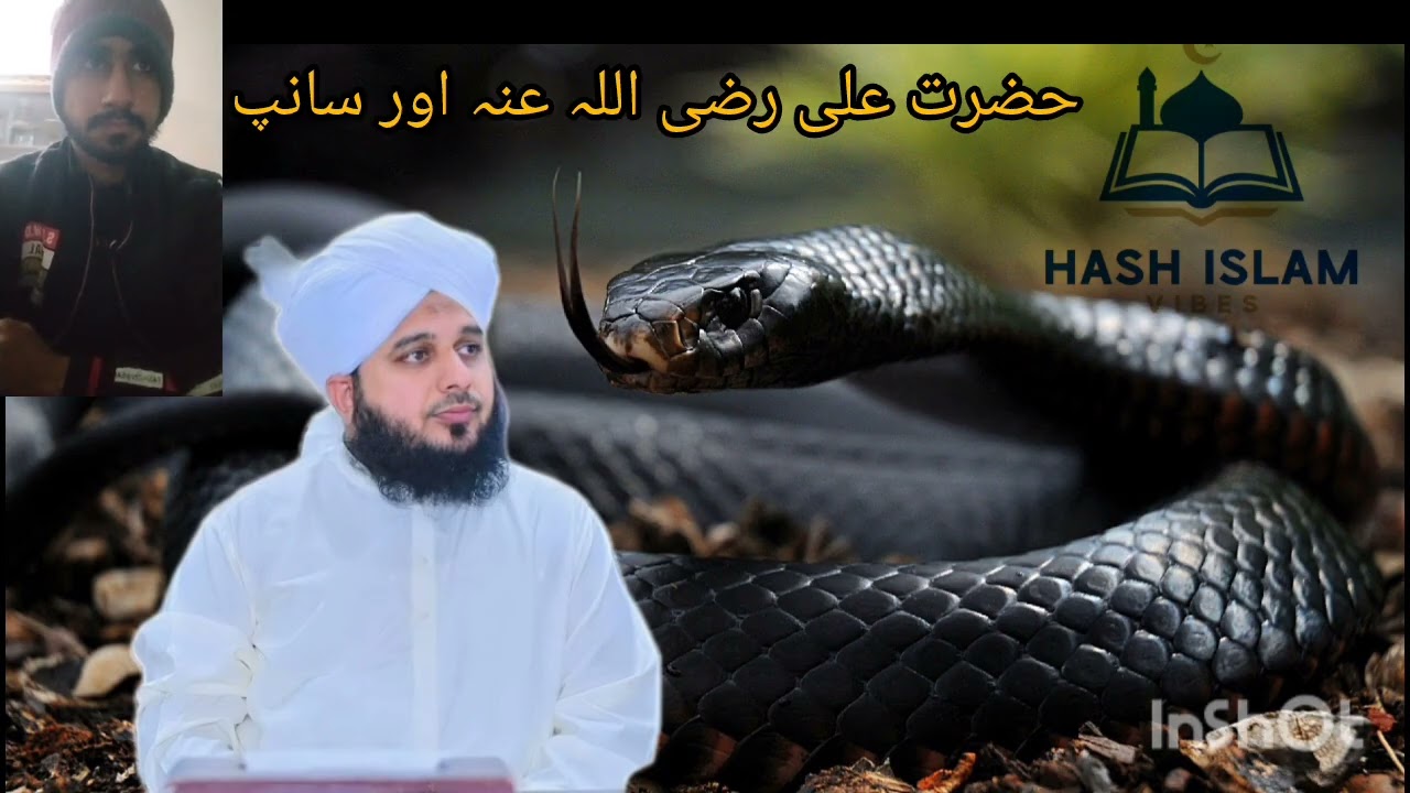 Ajmal Raza Qadri bayan | Hazrat Ali aur Saanp | #bayan #islamicquotes #unfrezzmyaccount 