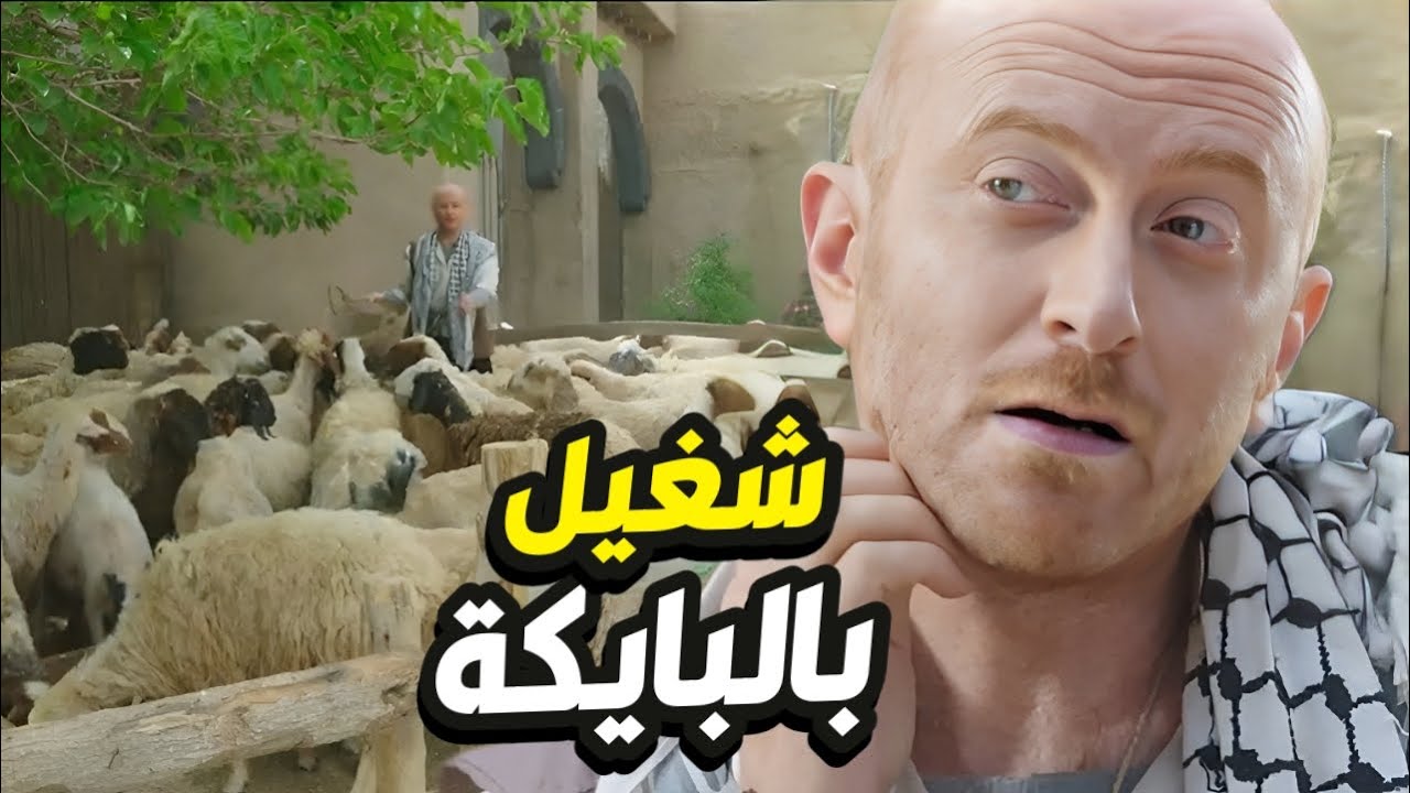 النمس قرر يشارك ابو ظافر بالبايكة ناوي يطرقها زواجة غير شكل👌 باب الحارة