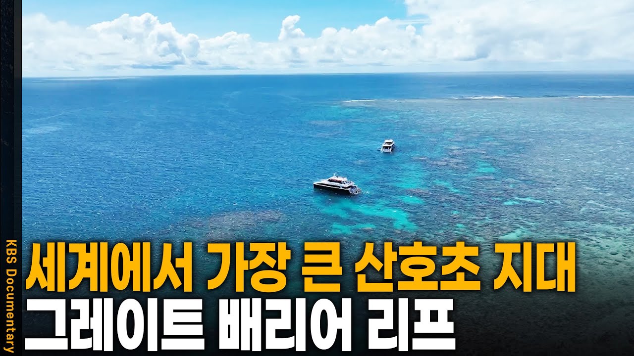 세계 최대 산호 군락지 그레이트 배리어 리프를 가다 | KBS 20241130 방송