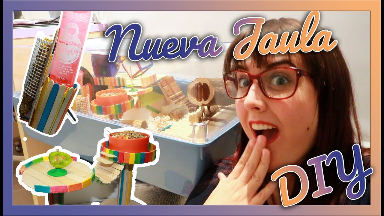 NUEVA JAULA! | DIY Bebedero, juguetes y segunda planta | HAMSTER