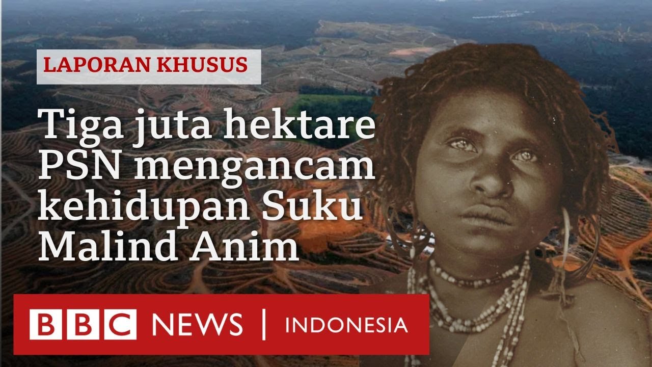 Nasib Malind Anim, suku besar di Merauke Papua yang 'dikepung' proyek pemerintah, PSN