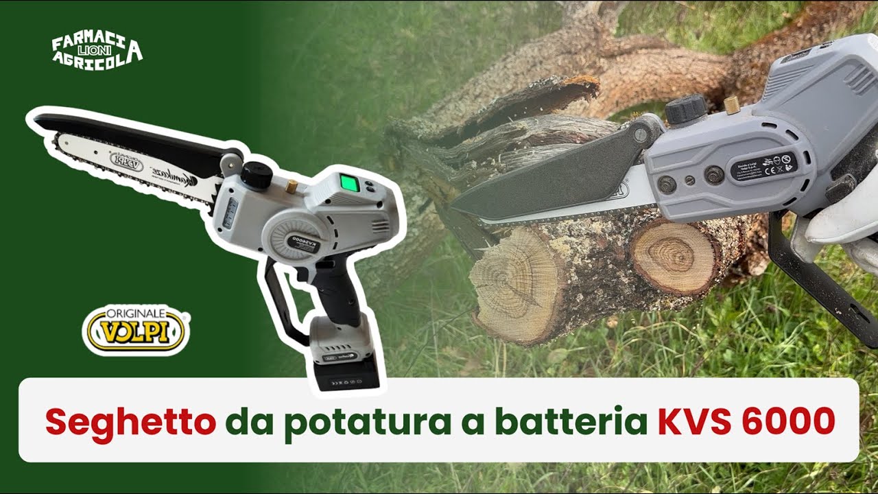 KVS 6000 Seghetto da potatura da 16 cm di VOLPI Test e recensione del seghetto a batteria da 950W