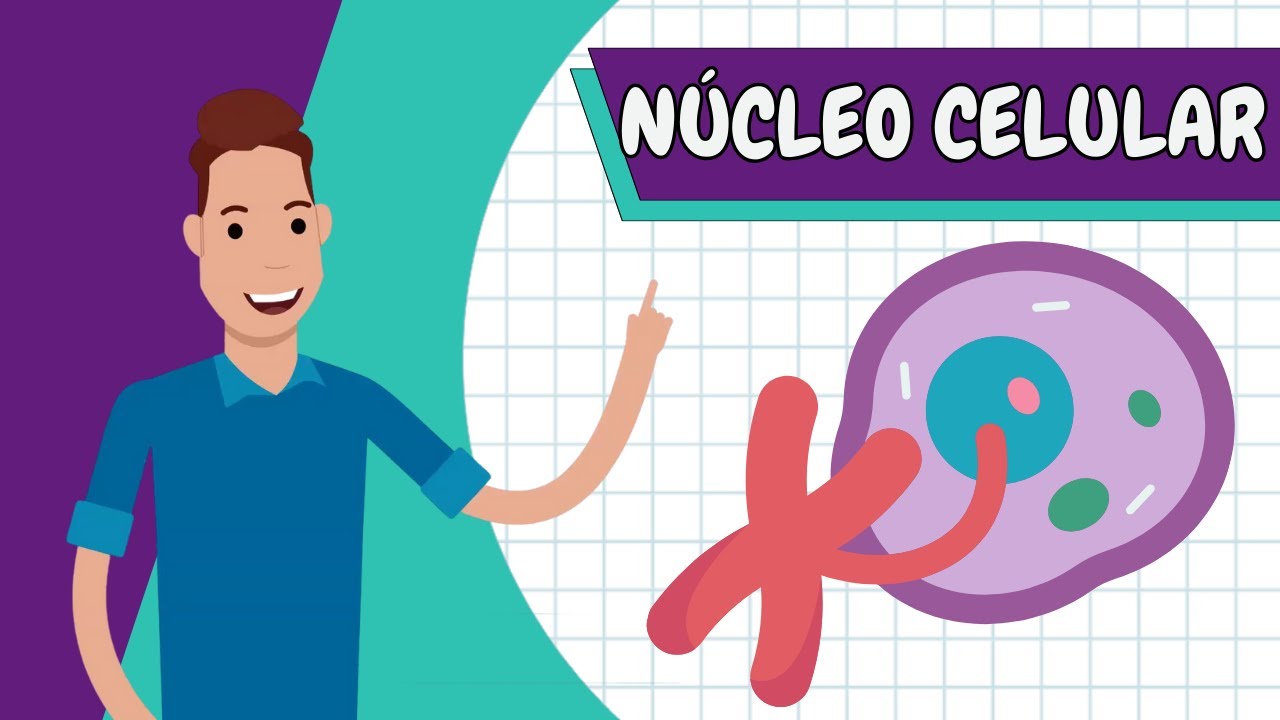 Resumo - N&Uacute;CLEO CELULAR