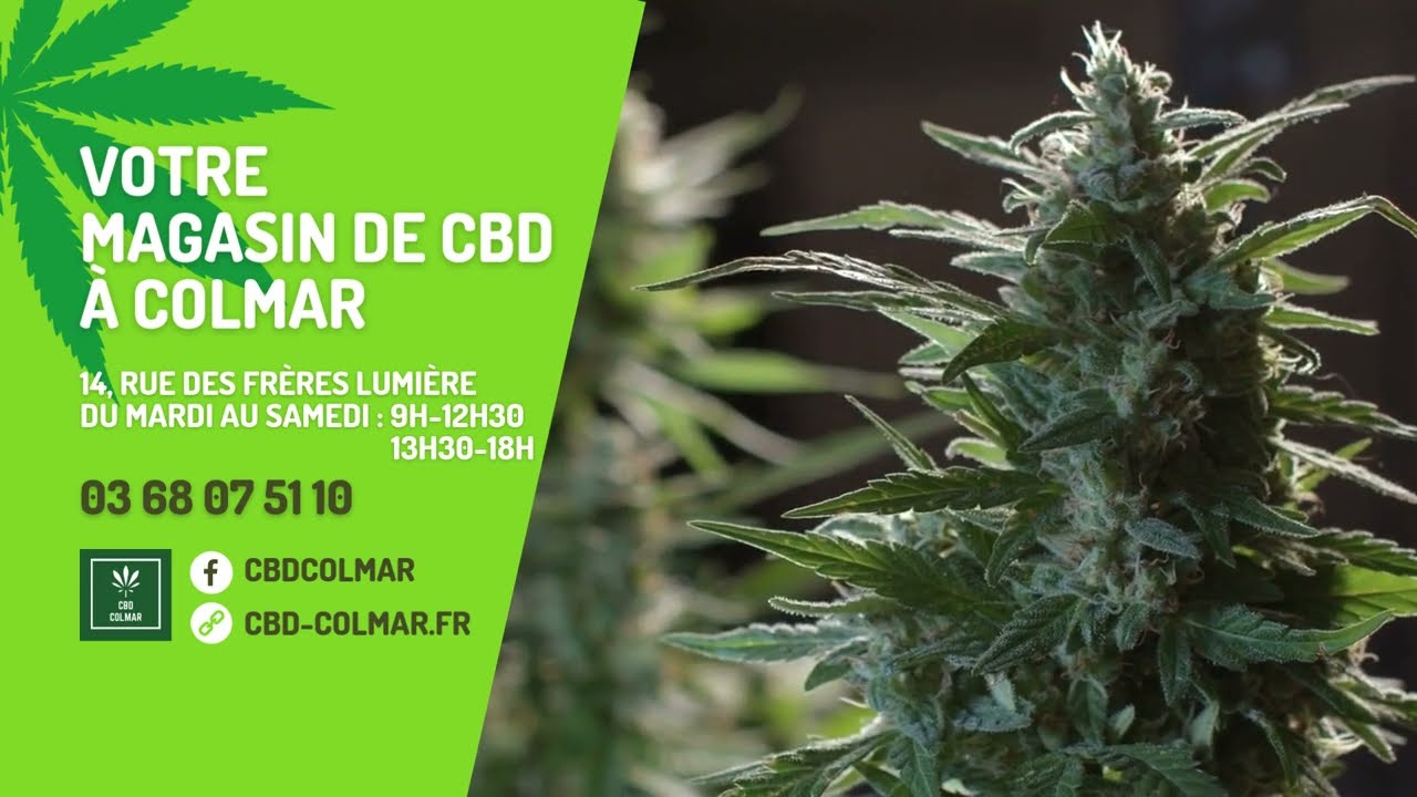 Votre magasin de CBD &agrave; COLMAR 🌱 Fleurs de qualit&eacute; sans additif, r&eacute;sines, moon rock et huile de CBD
