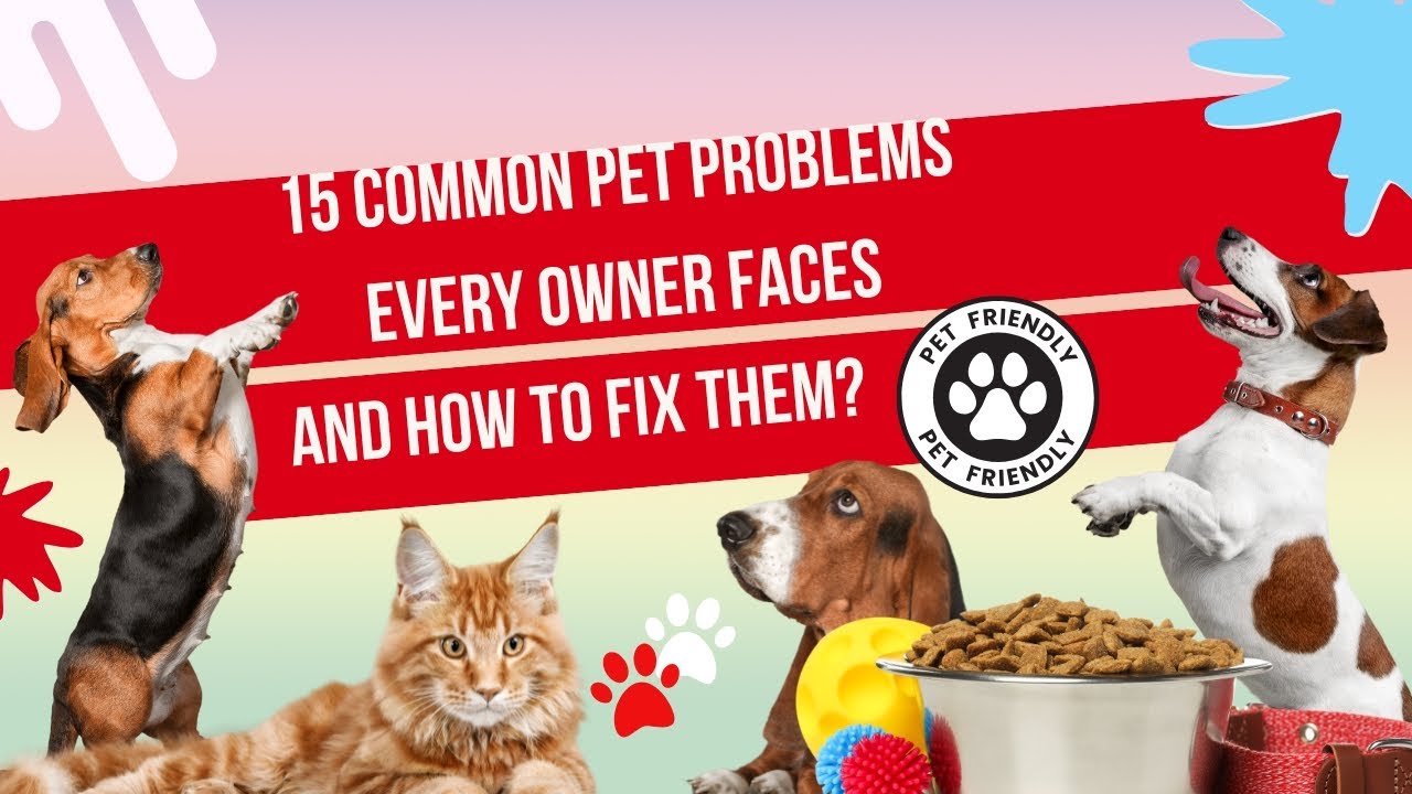 🐾 15 Common Pet Problems Every Owner Faces And How to Fix Them! 🐾