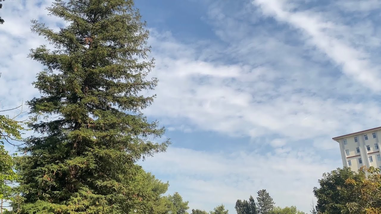 Cennetten bir köşe 🌵🪴🌳🌺 Ege Üniversitesi Botanik Bahçesindeyiz. Bölüm:1 Bahçe.