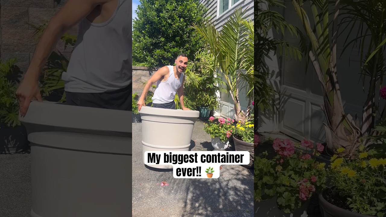 My trick to keeping HUGE containers LIGHT & CHEAP! 🪴 #garden #planty #plantsmakepeoplehappy