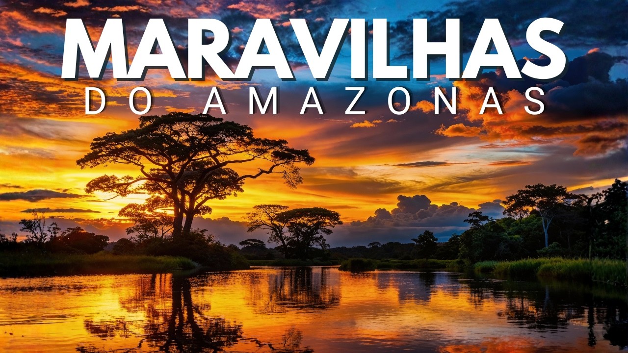 O Amazonas Que Ninguém Te Mostra: Muito Além do Que Contaram