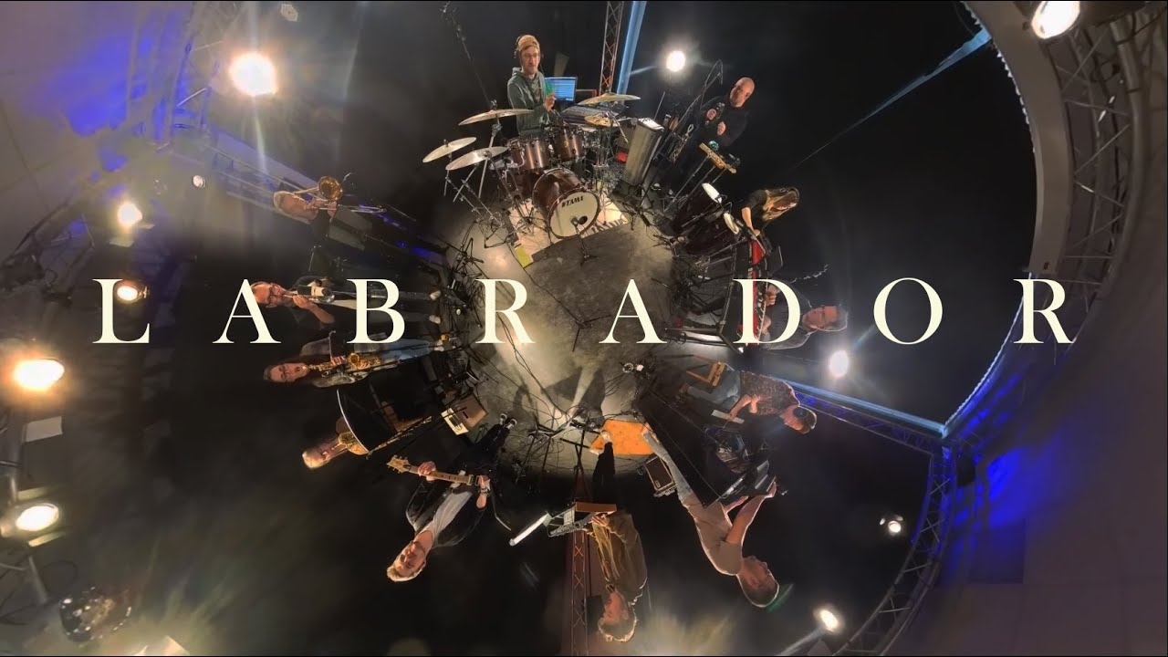 Die Konferenz – Labrador (Live Recording Session)