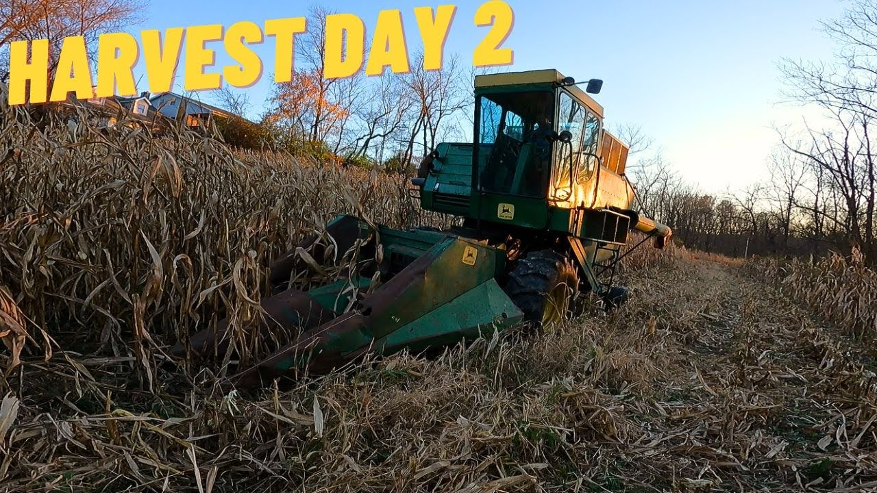 Second Day of Corn Harvest! | John Deere 3300