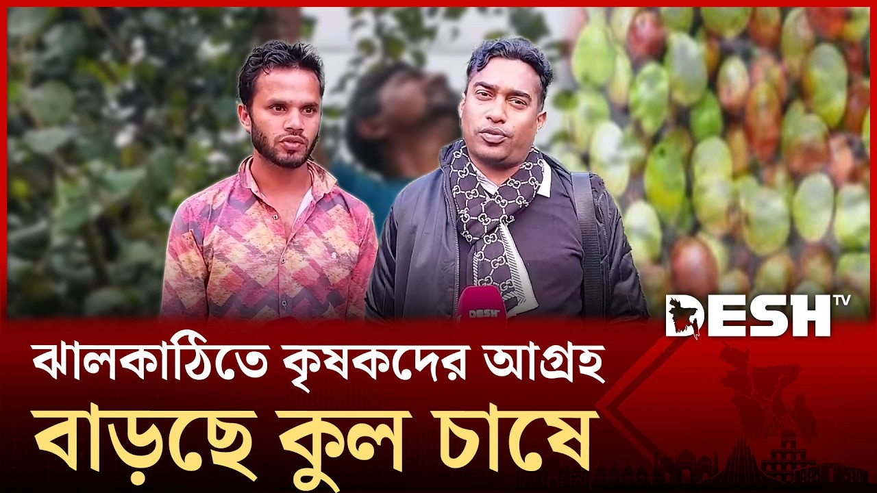 ঝালকাঠিতে কুল চাষে অর্থনৈতিক ভাবে লাভবান হচ্ছে কৃষকরা | Desh TV News