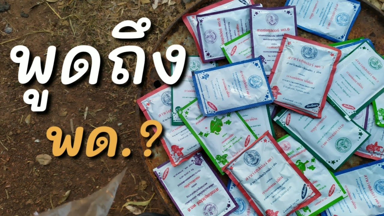 สารเร่งซุปเปอร์ พด.ทั้ง 12 ชนิด ช่วยเพิ่มศักยภาพทางการเกษตร ไม่เป็นอันตรายต่อ มนุษย์ พืชและสัตว์
