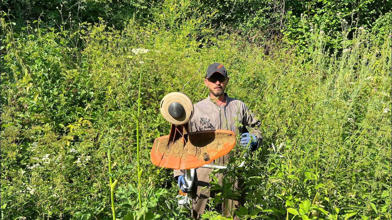Cutting tough weeds with Stihl Fs 560-C and 561-C with trimmer line and brush knife.