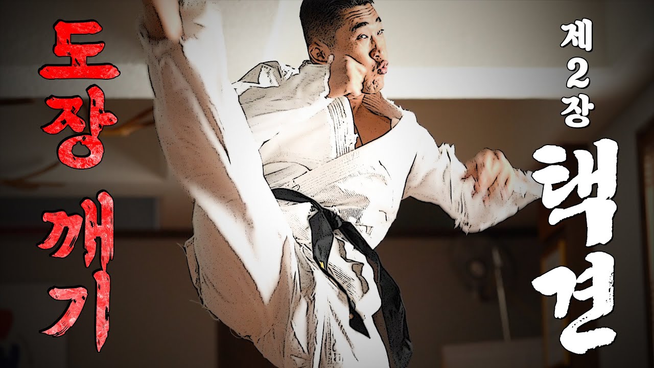 [도장깨기 2탄] 택견 접수하러 갑니다(김동현vs택견 최고수 황인무)