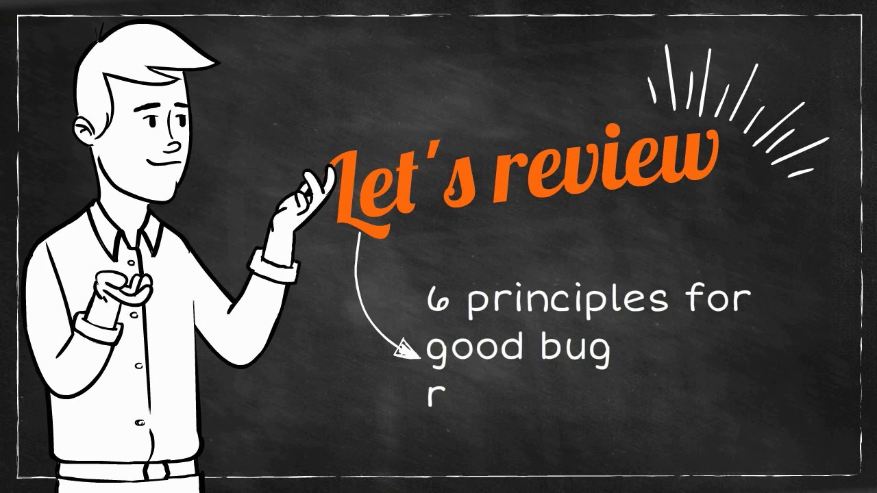 principles of good bug reporting