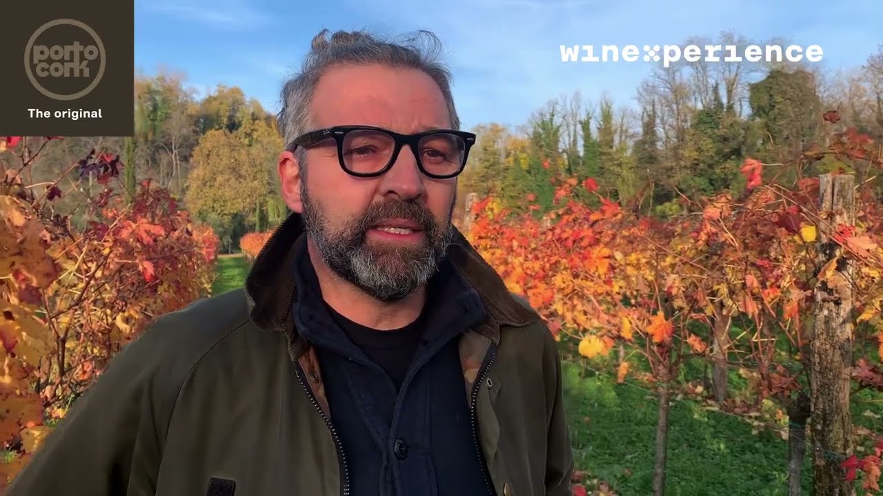 WineXperience: Il Piculìt Neri di Bulfon