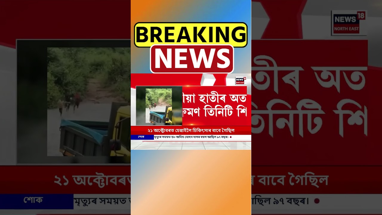 ডবকাৰ বুঢ়ীগংগা বনভোজস্থলীত ভয়ংকৰ ঘটনা | Doboka | Assamese News #shorts 03/11/25