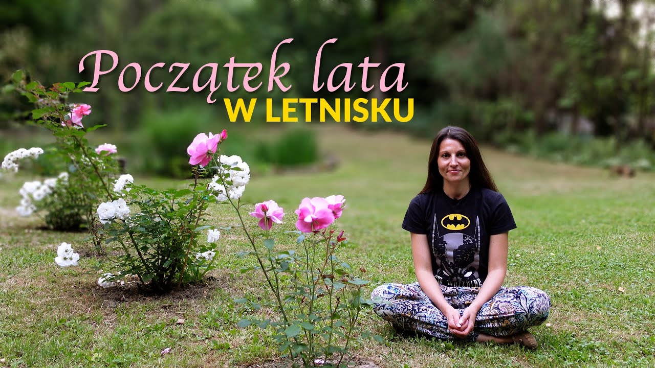 Początek lata w ogrodzie. Nowi mieszkańcy ogrodu.