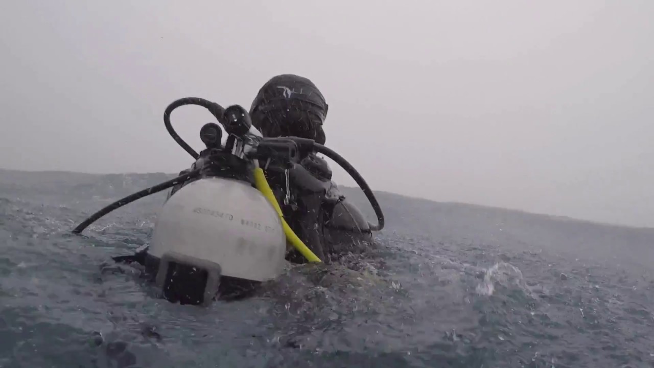 Diving Maldives - 